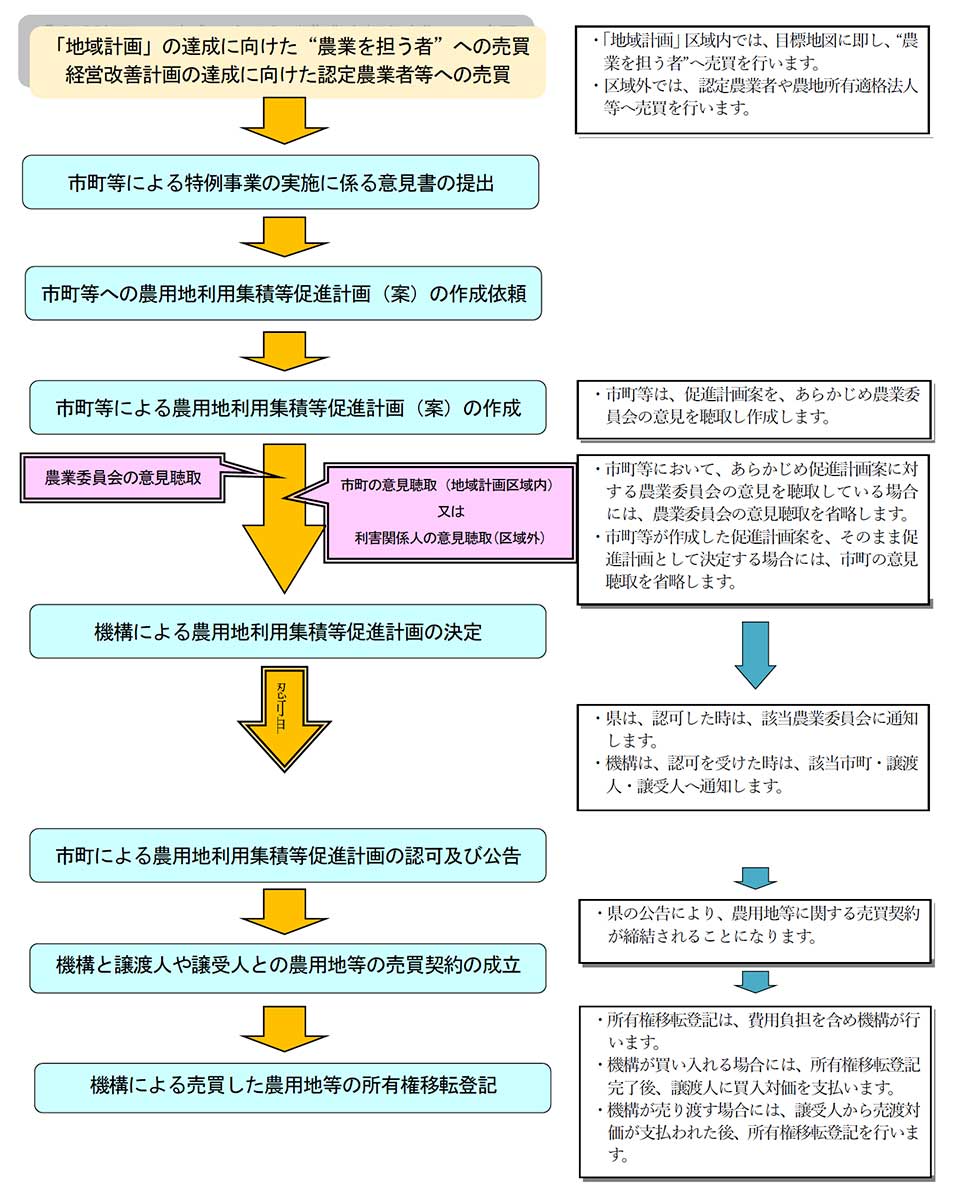 特例事業の流れ